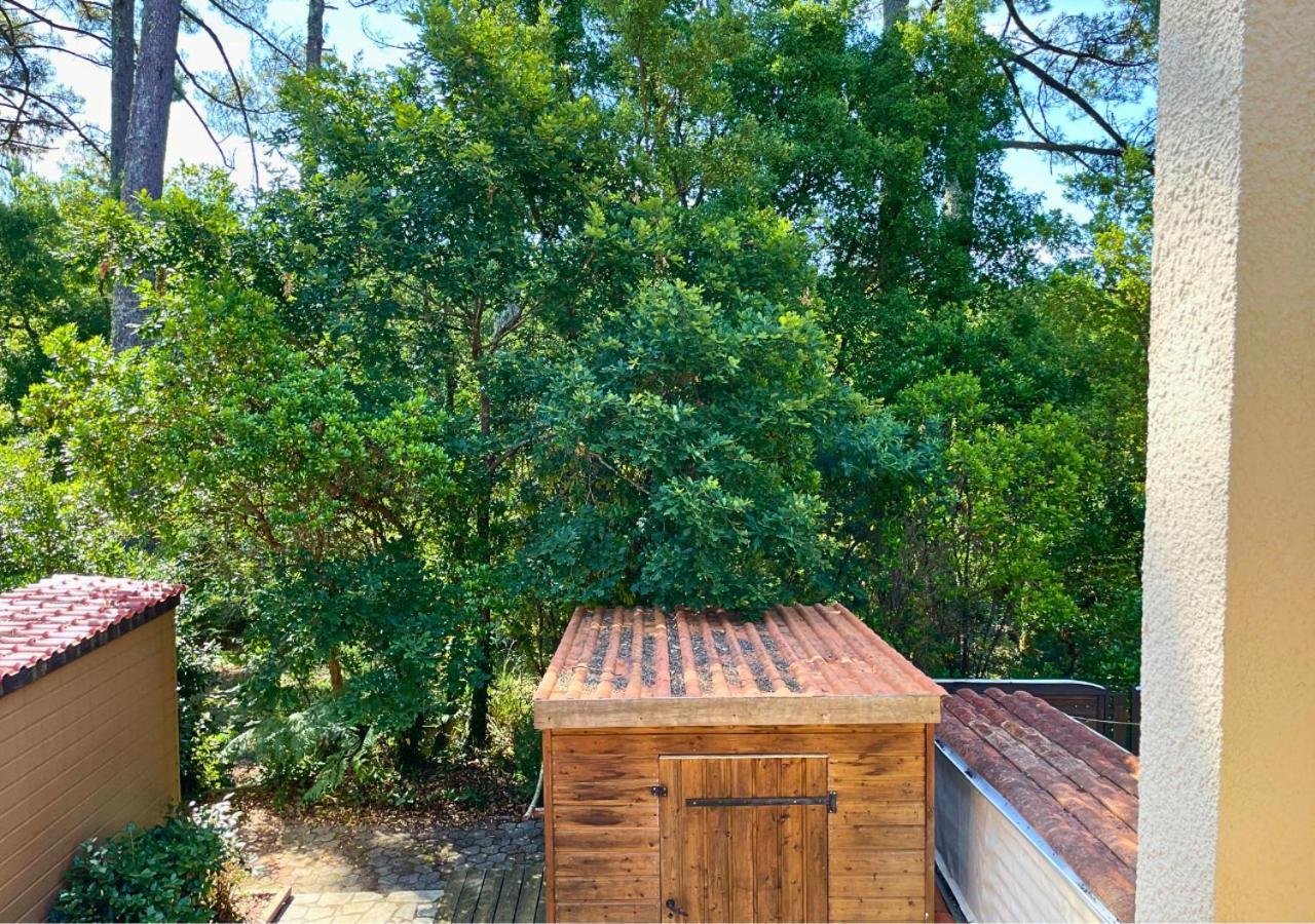 Sylviculteurs - Charmante Villa Patio Renovee Seignosse Exteriér fotografie